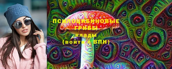 молекула духа Россошь