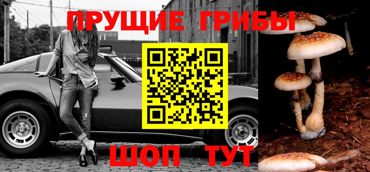 Димитровград  Псилоцибиновые грибы мухоморы  Галлюциногенные грибы ЛСД  Вход с VPN 