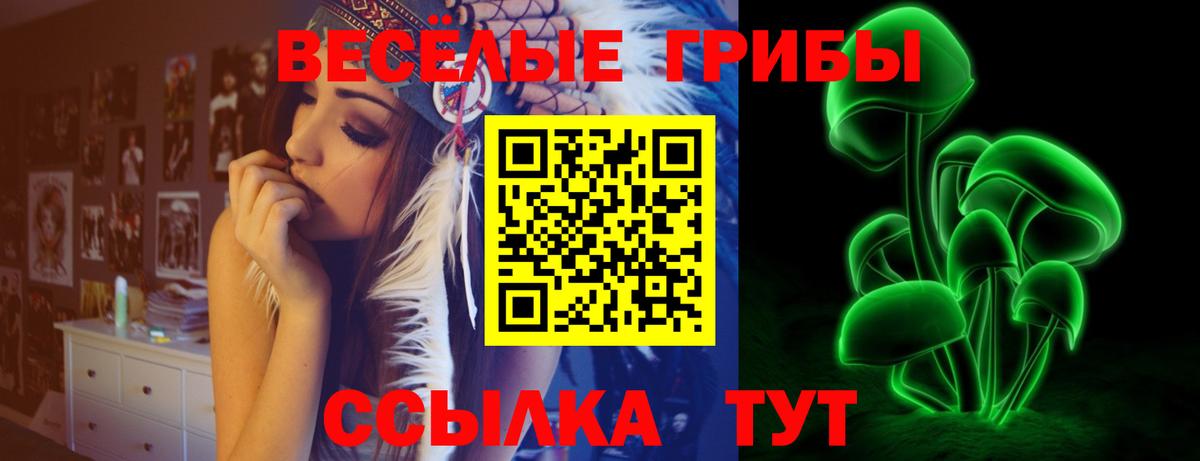 купить наркотики цена  Димитровград  Галлюциногенные грибы Psilocybine cubensis 